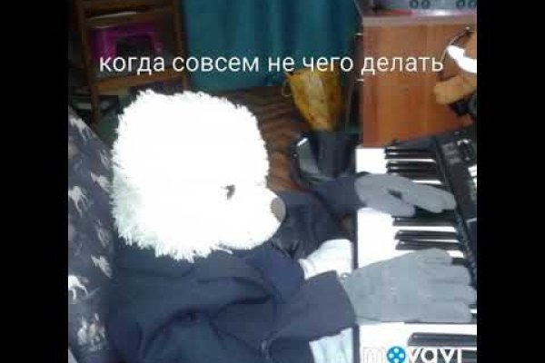 Кракен сайт для наркоманов
