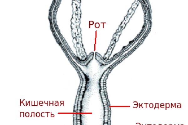 Сайт омг онион ссылка