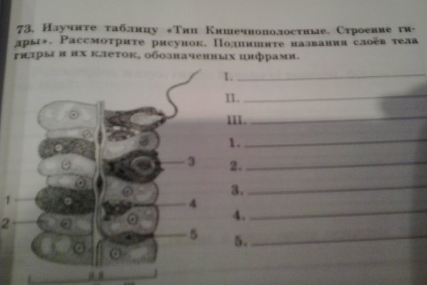 Как купить на меге первый раз пошагово